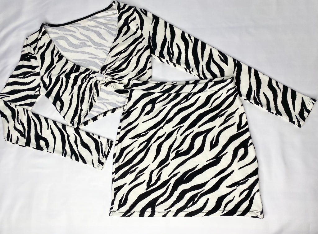 zebra top and skirt set